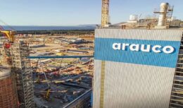 Empresa chilena, Arauco, investe R$ 15 bilhões para construir nova fábrica de celulose no Mato grosso do Sul