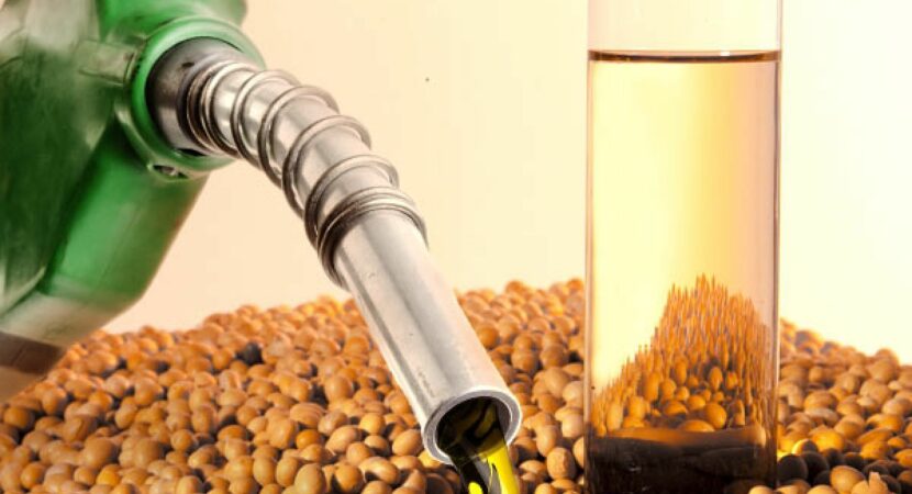 sustentabilidade biodiesel combustível efeito estufa óleo de cozinha Binatural