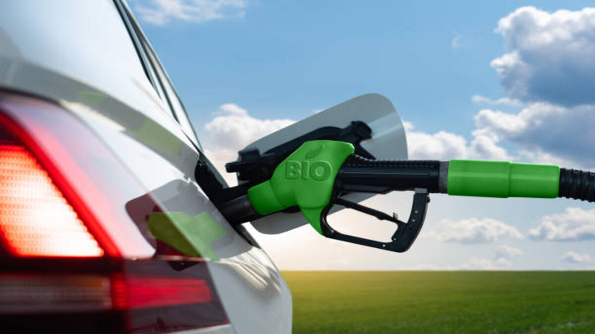Em resposta à possível crise do abastecimento do diesel no território nacional nos próximos meses, o governo brasileiro pode começar a utilizar o biodiesel como alternativa ao combustível para o abastecimento dos veículos e reduzir a importação do produto. 