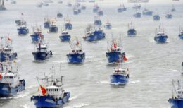 china, navios, pesca, pesca ilegal, vida marinha