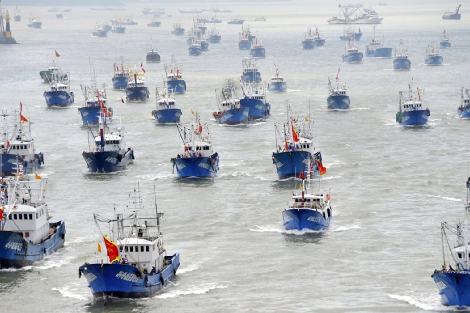 china, navios, pesca, pesca ilegal, vida marinha