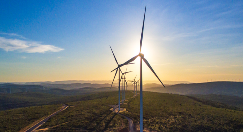 Neoenergia fecha contrato com a Ambev para fornecer energia renovável por 10 anos
