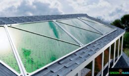 Empresa desenvolve painel solar a partir de algas capaz de gerar energia renovável e filtrar CO2