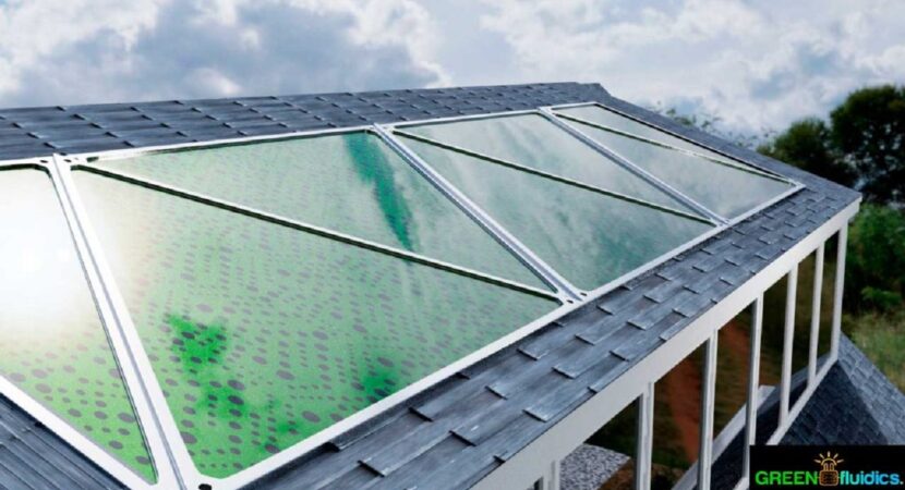 Company develops solar panel from algae capable of generating renewable energy and filtering CO2