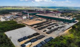 A siderúrgica Aço Verde do Brasil continua buscando tornar as práticas ESG cada vez mais fortes nas suas operações e, após a captação de R$ 400 milhões em CRAs, utilizará parte do valor para o plantio de florestas no território nacional.
