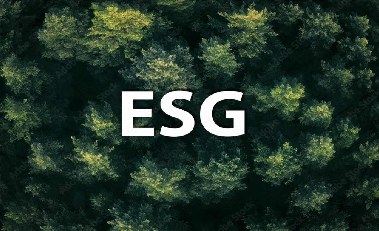 ESG, carreira, profissionais