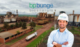 Oportunidade na BP Bunge Bioenergia uma das mais importantes processadoras de cana-de-açúcar do Brasil abre inscrições para os programas Trainees e Engenheiros 2023