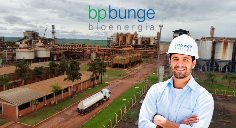 Oportunidade na BP Bunge Bioenergia uma das mais importantes processadoras de cana-de-açúcar do Brasil abre inscrições para os programas Trainees e Engenheiros 2023