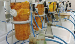 Biobateria criada por pesquisadores da USP é capaz de gerar energia a partir da água do esgoto usando uma Célula a Combustível Microbiana