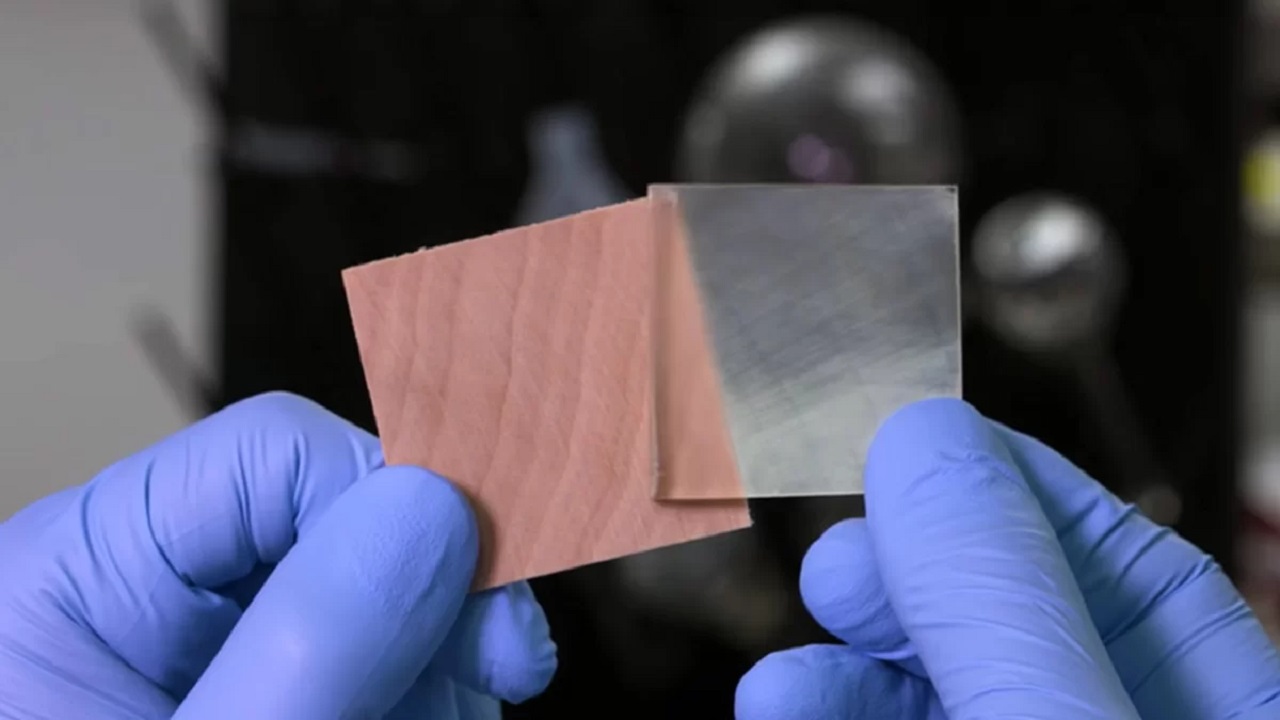 Cientistas descobrem material inovador capaz de substituir plástico e vidro, conheça a nova categoria de “madeira transparente”