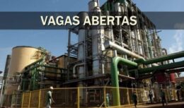 emprego - usina - vagas - São Paulo - etanol - preço ensino fundamental - técnico - ensino médio