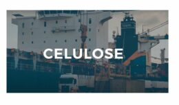 celulose startup exportação inovação Porto de Santos