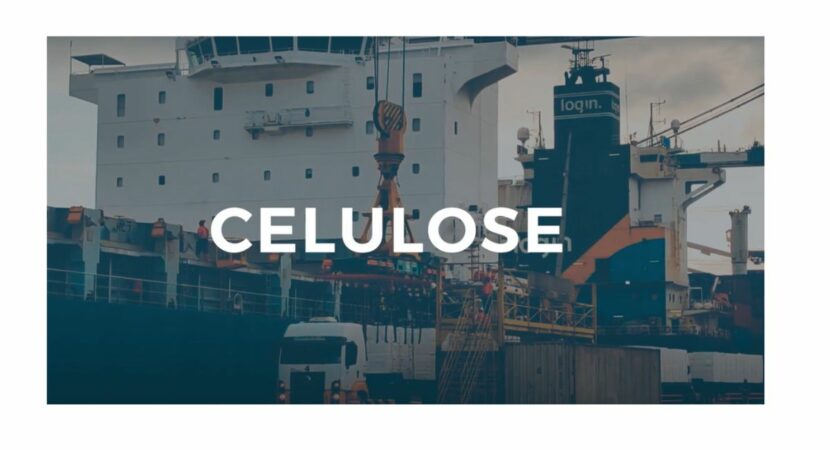 celulose startup exportação inovação Porto de Santos