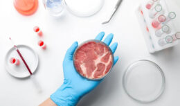 carne de laboratório
