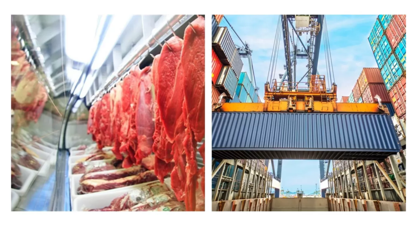 Alta demanda da China pela proteína, fez exportação de carne bovina brasileira bateu recorde, o que fez, em especial, o estado do Mato Grosso, liderar o ranking das exportações no comércio exterior