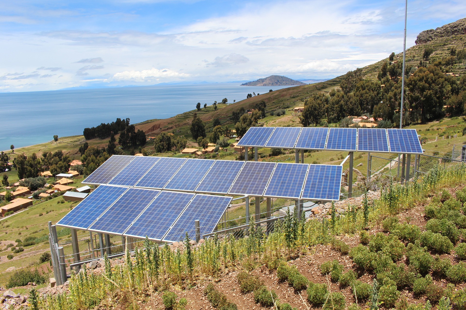 Empresa de energia solar tem crescimento de 50% e ampliação de 40% no quadro de colaboradores: essa será uma realidade para quem investir no setor!