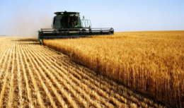 Com intensa, ativa e crescente participação no comércio exterior, Brasil reduz a dependência externa de trigo. Em 2022, o volume subiu para 3,07 milhões de toneladas