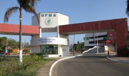 UFMA abre 478 vagas em cursos gratuitos online na modalidade EAD
