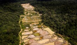 O garimpo ilegal na Amazônia tem levado as mineradoras da região a pedirem ajuda a diversos órgãos, incluindo os internacionais. O pedido foi feito a alguns países da Europa para garantir mais segurança e valorização da área.