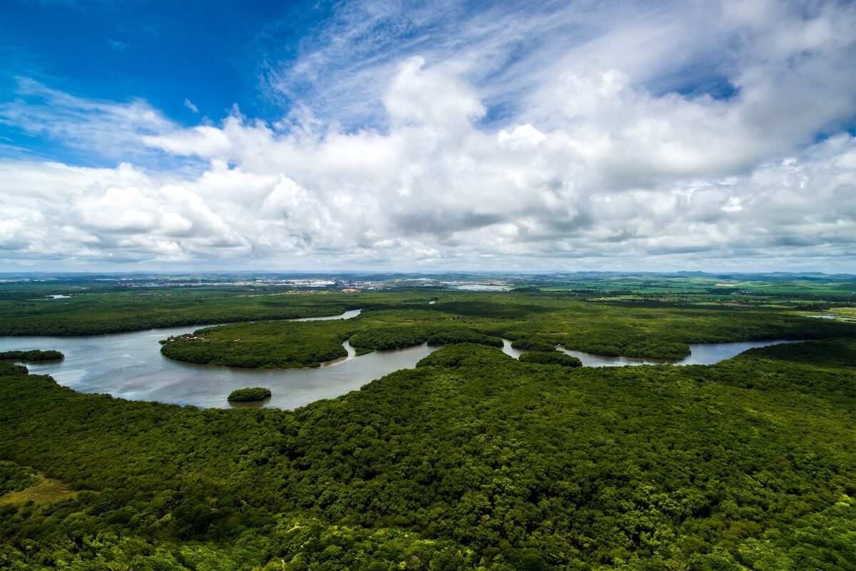 gás natural do Amazonas