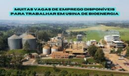 As vagas de emprego ofertadas pela usina Goiás Bioenergia são para trabalhadores de todos os níveis de escolaridade com experiência anterior no cargo escolhido.
