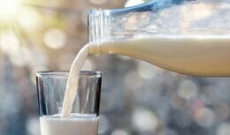 Etanol criado a partir de leite deve compensar 14,5 mil toneladas de carbono por ano e ser alternativa de combustível limpo