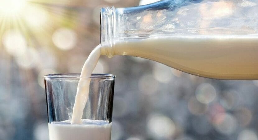 Etanol criado a partir de leite deve compensar 14,5 mil toneladas de carbono por ano e ser alternativa de combustível limpo