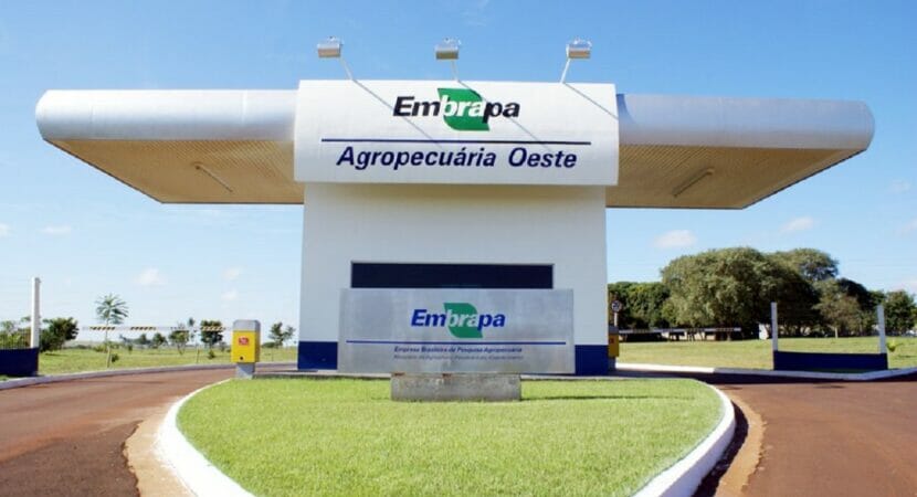 Concurso Embrapa confirmado com mais de 850 vagas para candidatos de níveis médios, técnicos e superiores  
