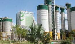 O fundo árabe FIP Agroenergia assumiu controle de duas usinas de açúcar e álcool no Mato Grosso do Sul, a Usina de Santa Luzia e Eldorado. O investimento de R$ 1 bilhão será essencial para destacar a produção das fábricas.