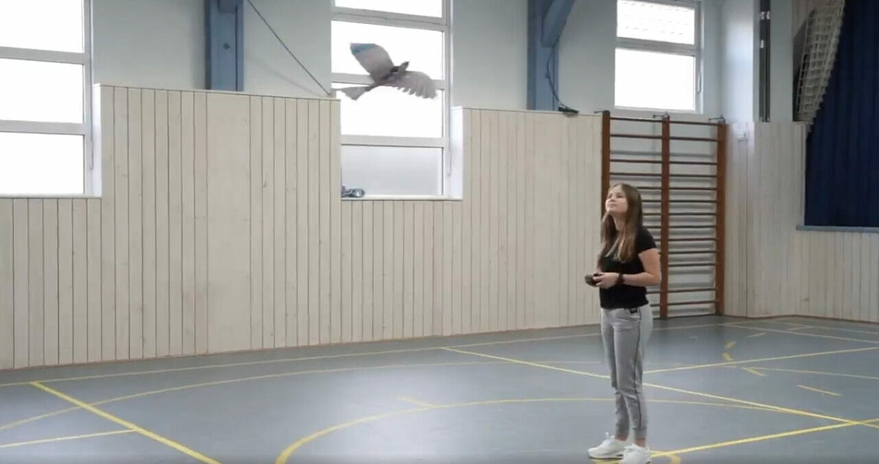Robô-passarinho da Festo ensina ciência e tecnologia com voos impressionantes