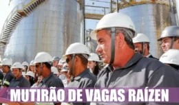 emprego - etanol - usina - vagas - shell - raízen - São Paulo - produção - sem experiencia