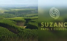 Suzano, uma das maiores empresas do setor de papel e celulose, está com 79 vagas de emprego abertas 