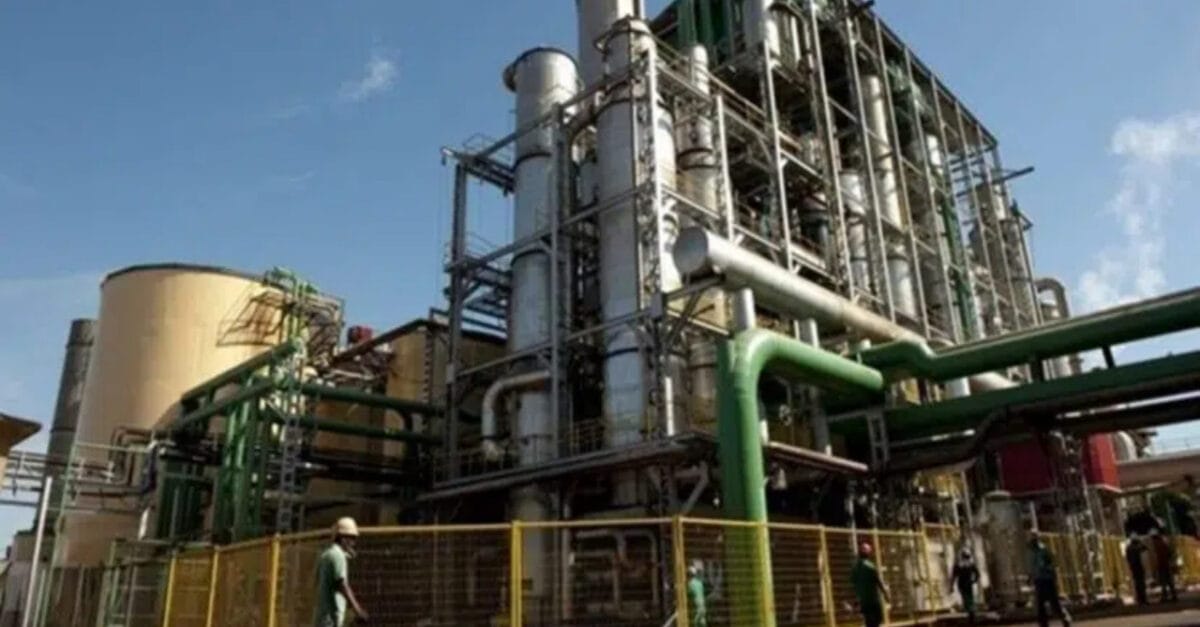 Fuel war ethanol price evaporates at plants and more