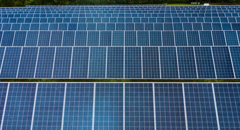 Acordo entre FiberX e Trina Solar prevê fornecimento de módulos fotovoltaicos e rastreadores solares