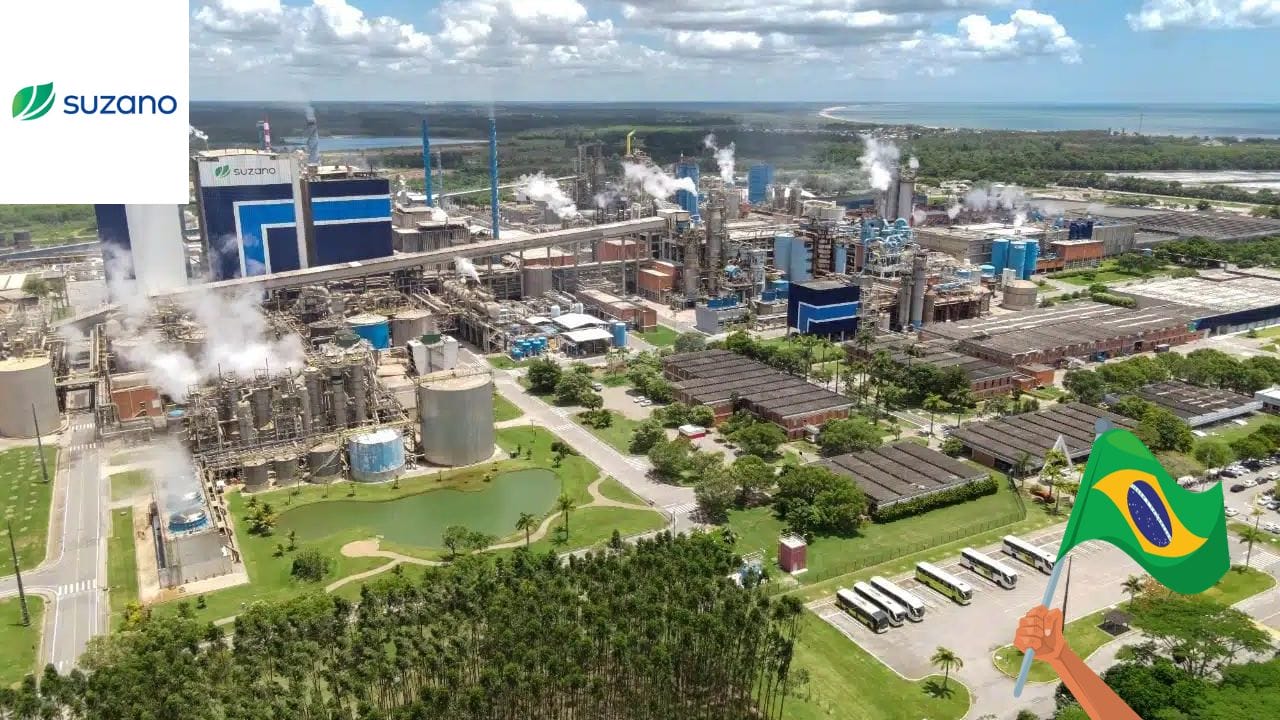 Suzano: a Gigante que colocou o Brasil como o maior produtor e exportador de celulose do mundo
