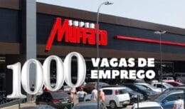 SÃO MAIS DE MIL VAGAS! Grupo Muffato anuncia vagas de emprego em diversas áreas e em inúmeras localidades