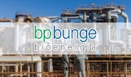 BP Bunge Bioenergia ofrece 71 vacantes laborales para electricistas, soldadores, técnicos y personas sin experiencia de diferentes estados