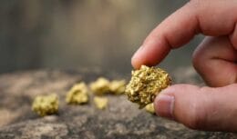 Scientists at the University of Michigan discover bacteria that transform compounds into PURE 24-karat GOLD