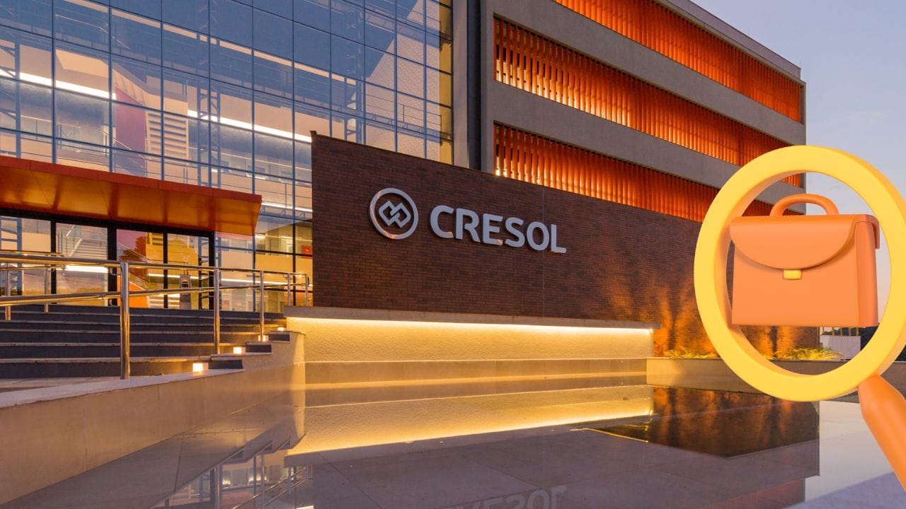 Cresol oferece 245 vagas de emprego com diversos benefícios: são oportunidades para analistas, assistentes e auxiliares