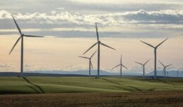 Management Strategies for Wind Farms