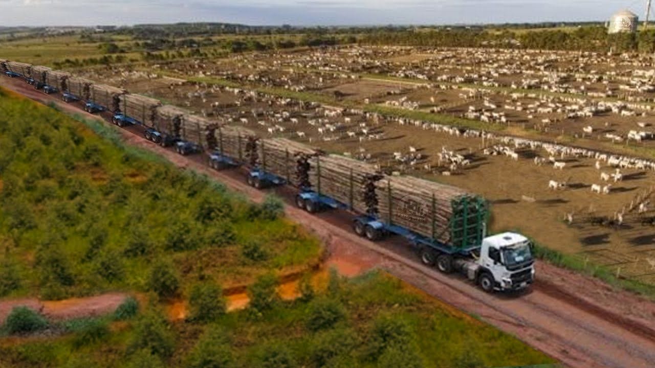 O Hexatrem: revolução na logística do transporte brasileiro