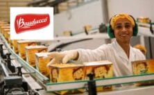 A Bauducco lança vagas de emprego em todo o Brasil com contratação imediata; oportunidades para vendedor, operadora de caixa, promotor de vendas, separador e mais