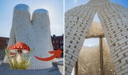 Mushrooms are becoming a sustainable alternative to concrete in the construction industry