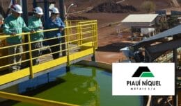 Piauí Níquel Metais anuncia novas vagas de emprego nas indústrias de tecnologia e sustentabilidade; oportunidades para engenheiros e analistas