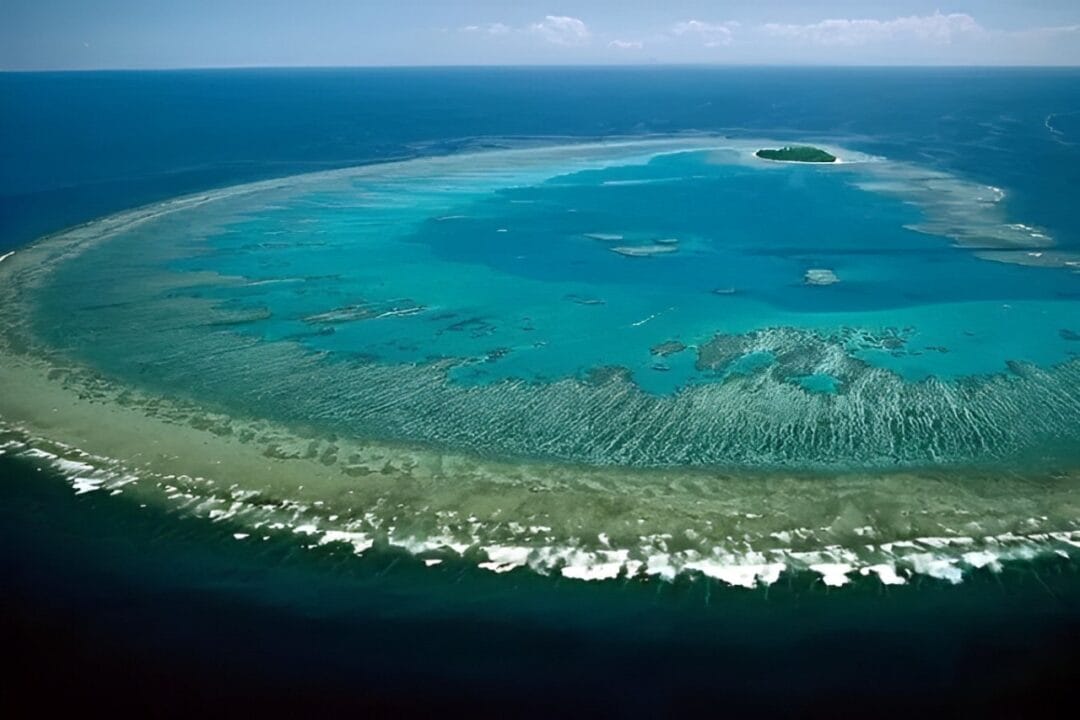 Revelada a maior barreira de coral do mundo, com 2.300 km de comprimento: uma das mais belas formações naturais da Terra, visível até do espaço!