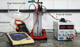 Inovador! Pesquisadores brasileiros desenvolvem tecnologia econômica para extrair hidrogênio verde usando casca de camarão