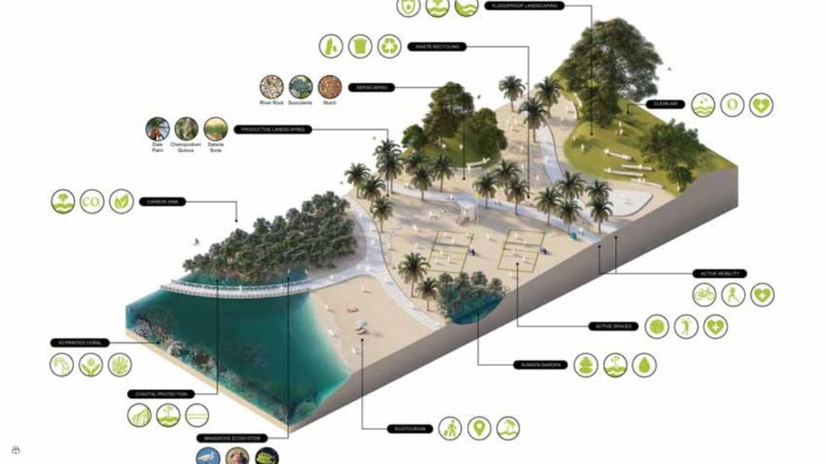 Manguezais de Dubai: projeto de regeneração costeira de 72 km e geração de 10 mil empregos