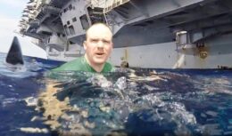 O que acontece quando os tubarões nadam muito perto dos marinheiros de porta-aviões e navios dos Estados Unidos