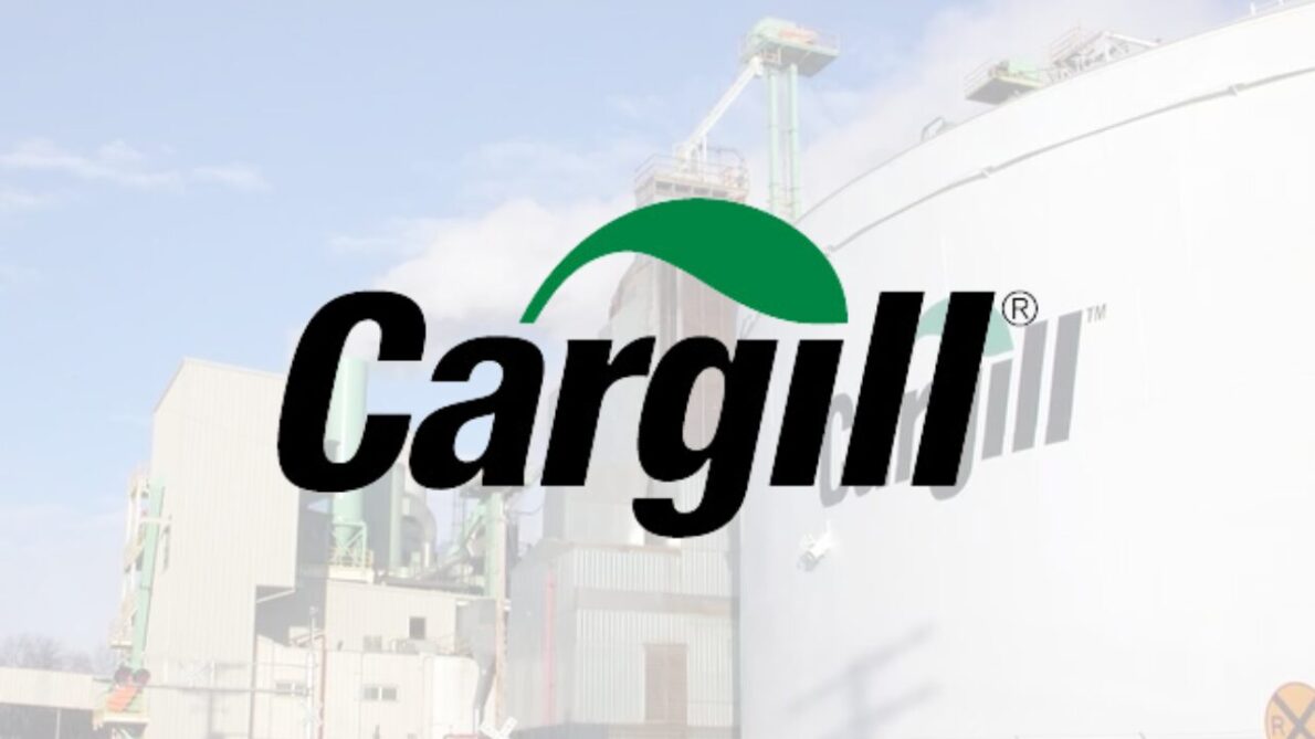 Cargill abre vagas de emprego para diversos perfis, em expansão de equipe global comprometida com o desenvolvimento no setor alimentício.