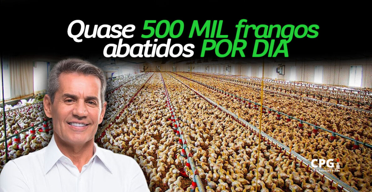 Descubra como a São Salvador Alimentos de Zé Garrote revolucionou a avicultura brasileira, abatendo quase 500 mil frangos por dia! (Imagem: reprodução)